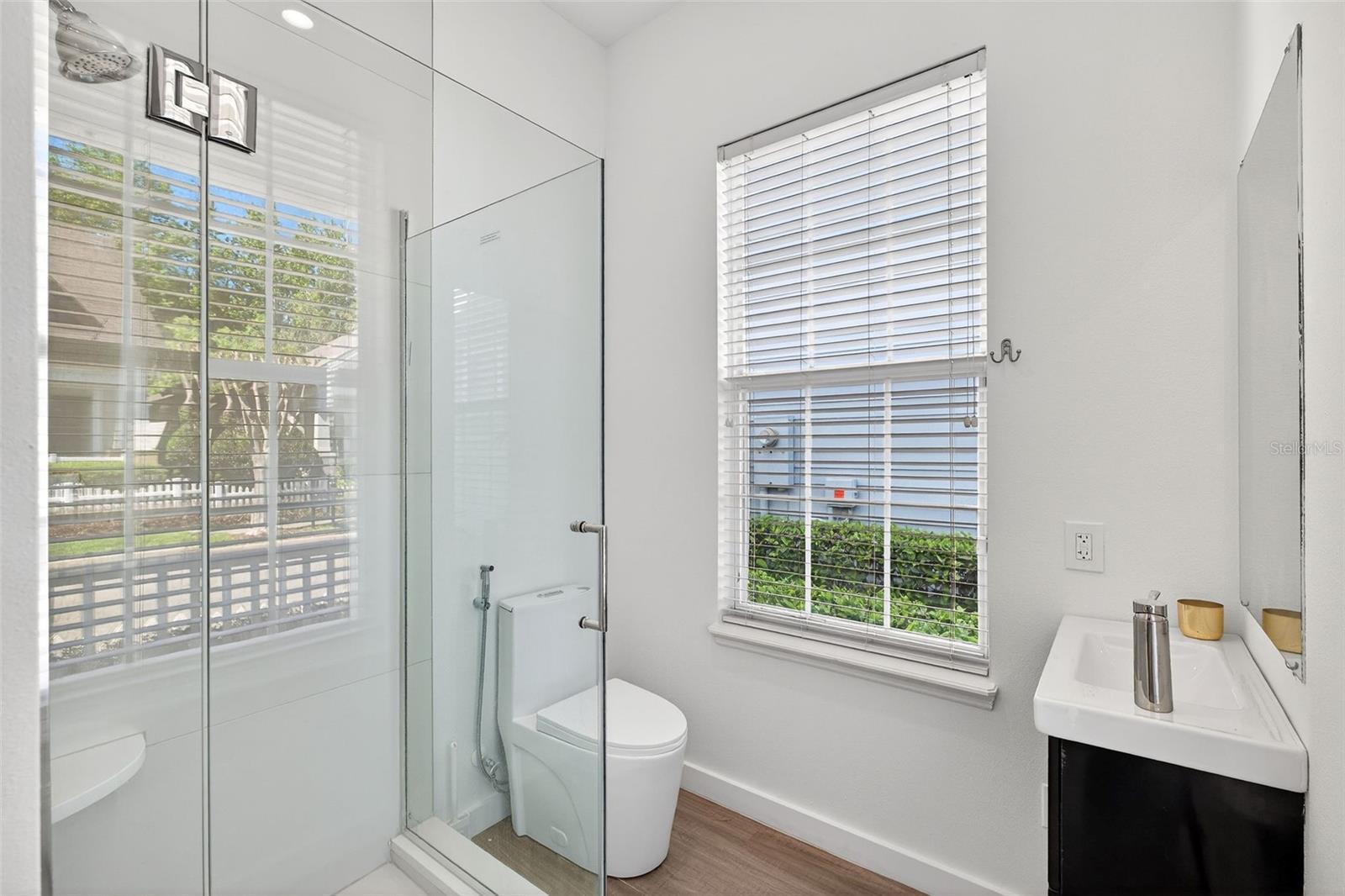 810 LAKE EVALYN DR, CELEBRATION, FL, 34747