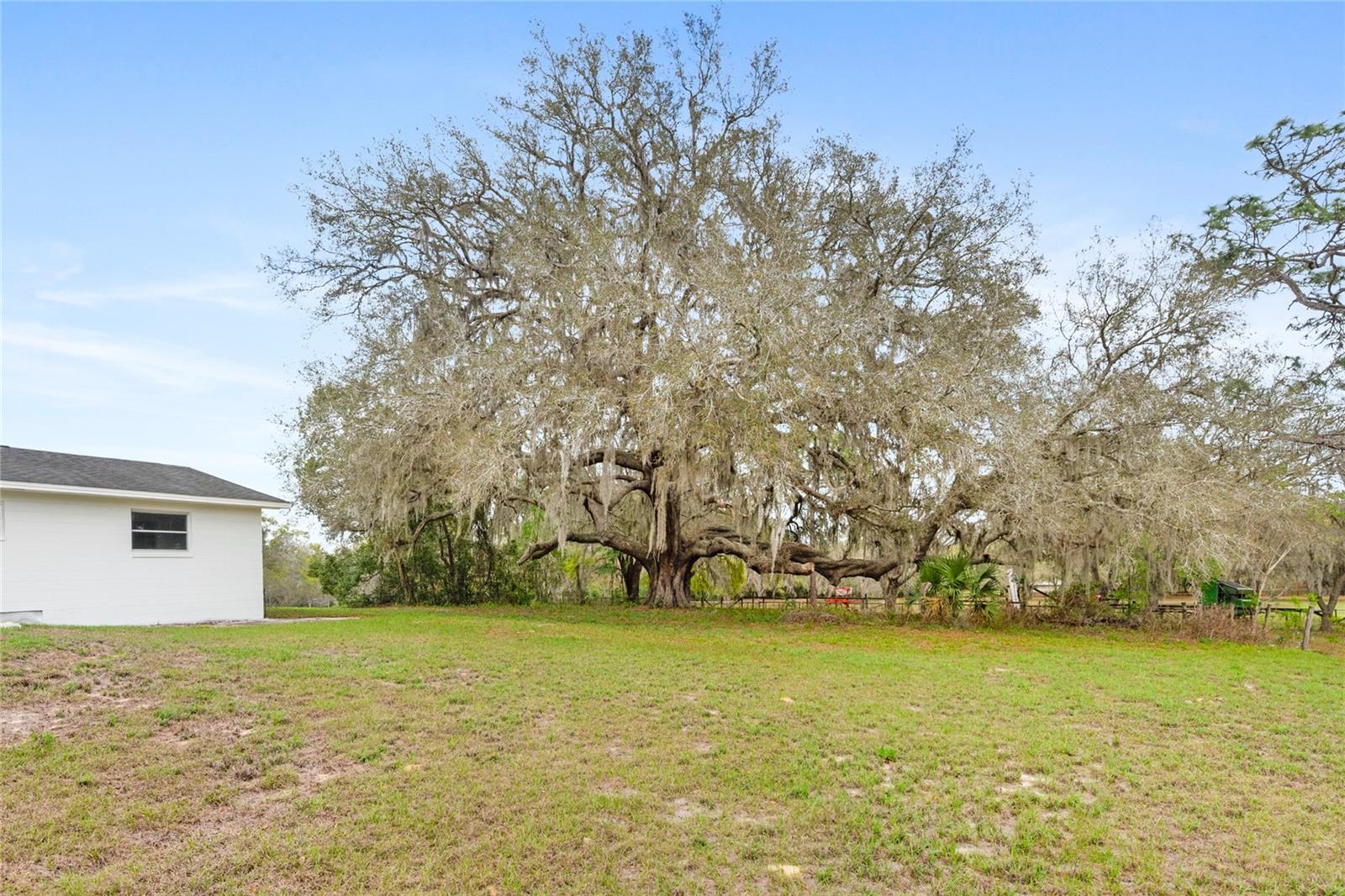 22820 SORRENTO AVE, SORRENTO, FL, 32776