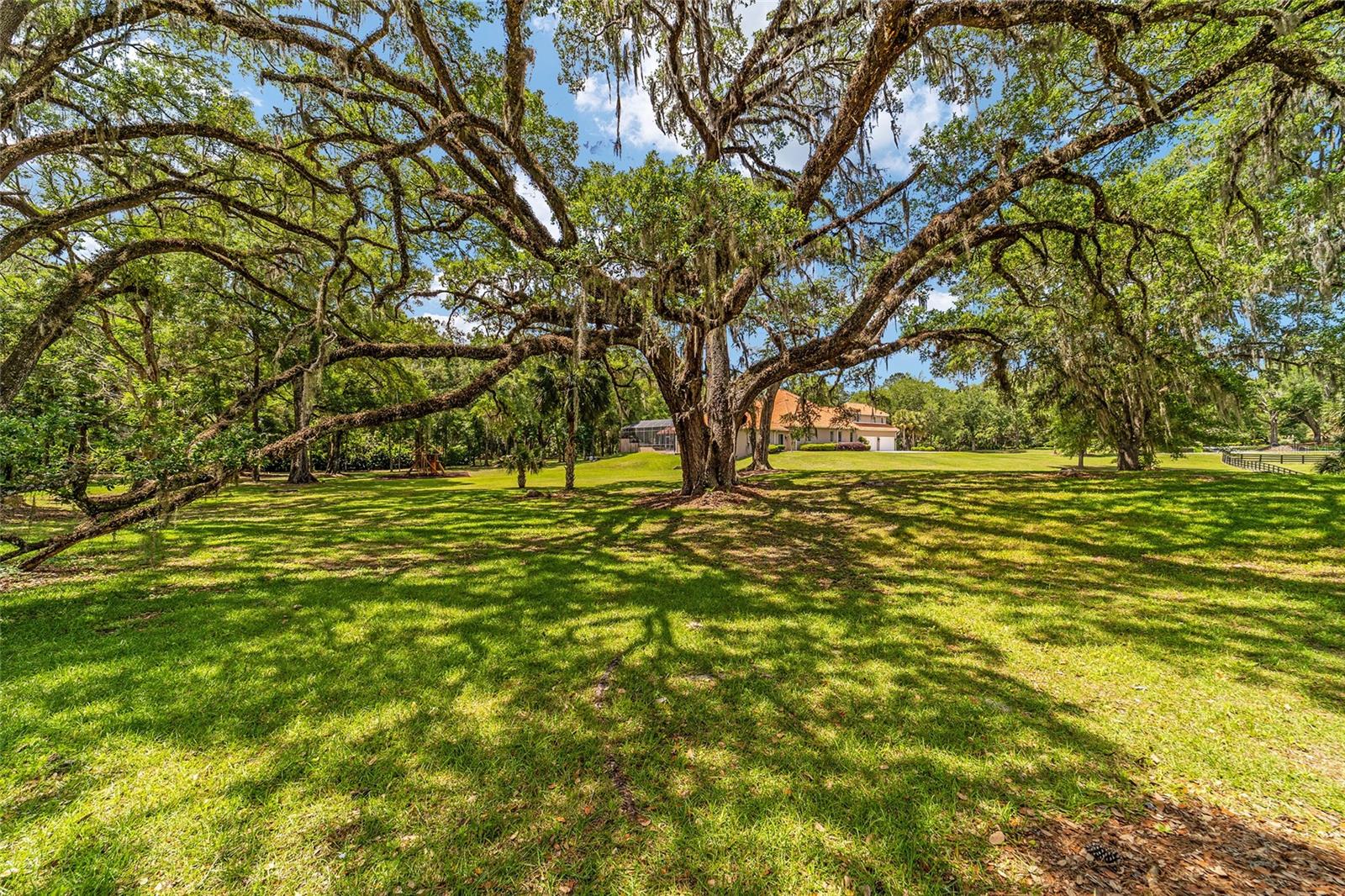 2380 SE 73RD LOOP, OCALA, FL, 34480