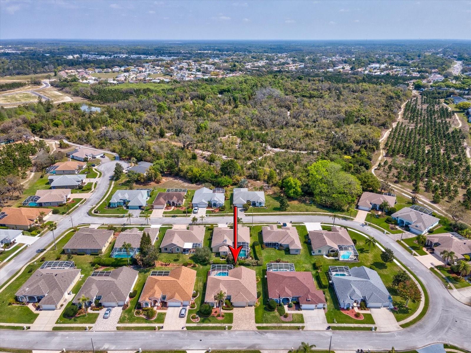 13944 TALMAGE LOOP, HUDSON, FL, 34667