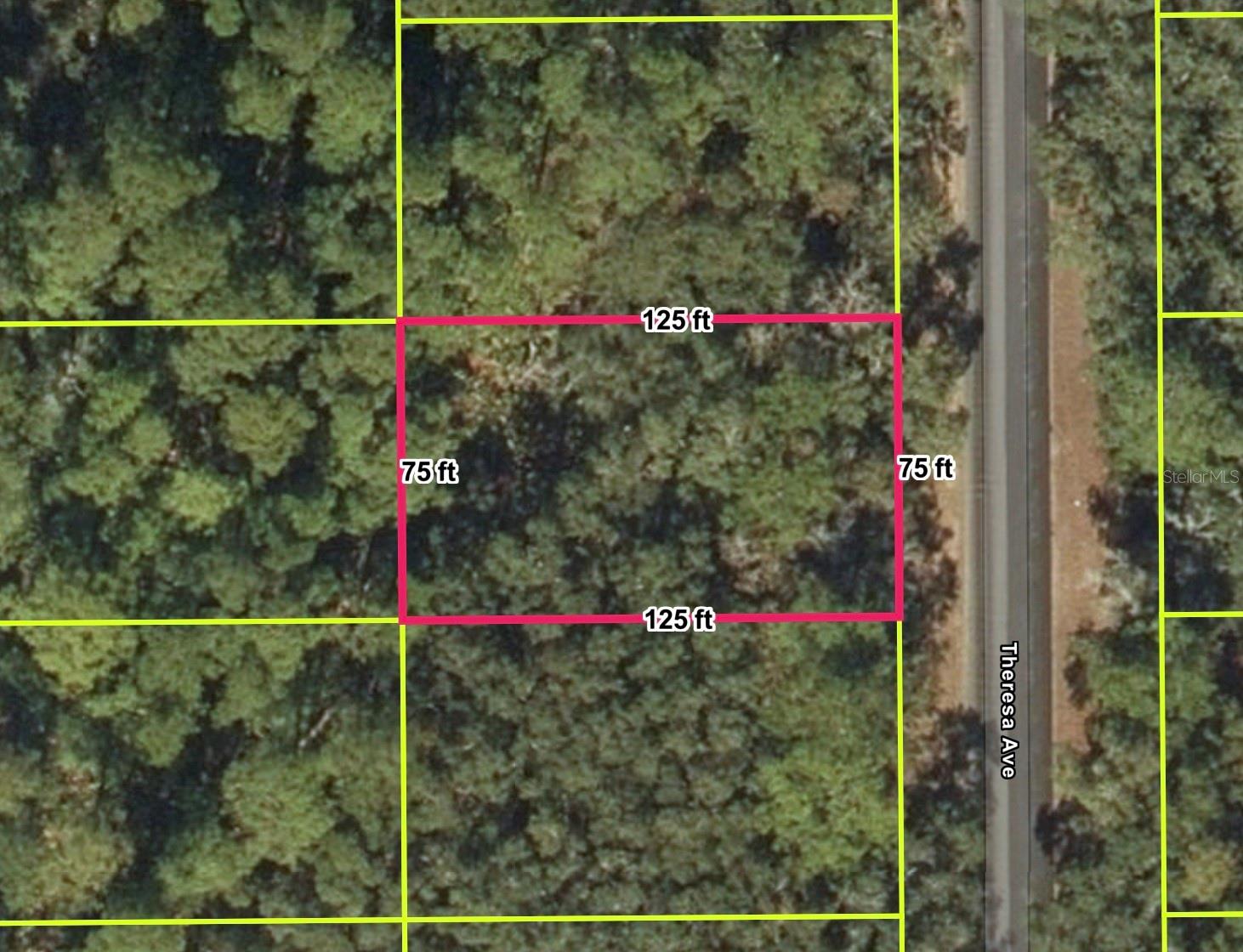 INTERLACHEN LAKES ESTATES, INTERLACHEN, FL, 32148
