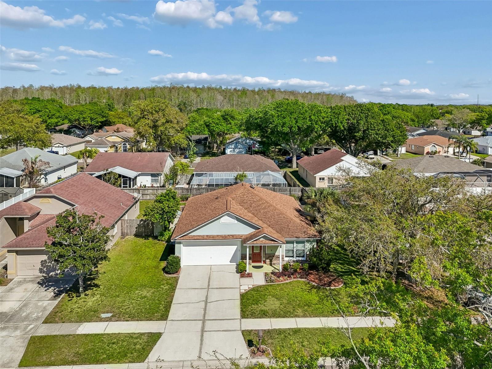 11029 STREAMSIDE DR, TAMPA, FL, 33624
