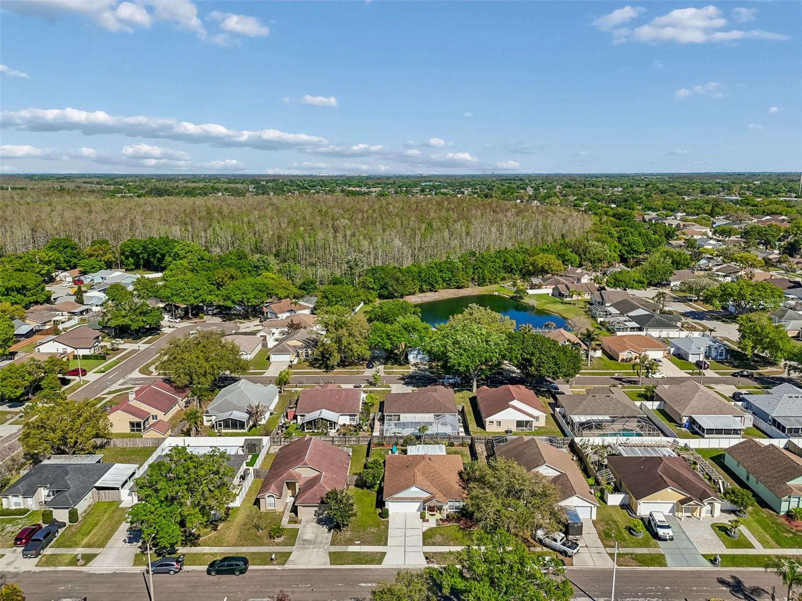11029 STREAMSIDE DR, TAMPA, FL, 33624