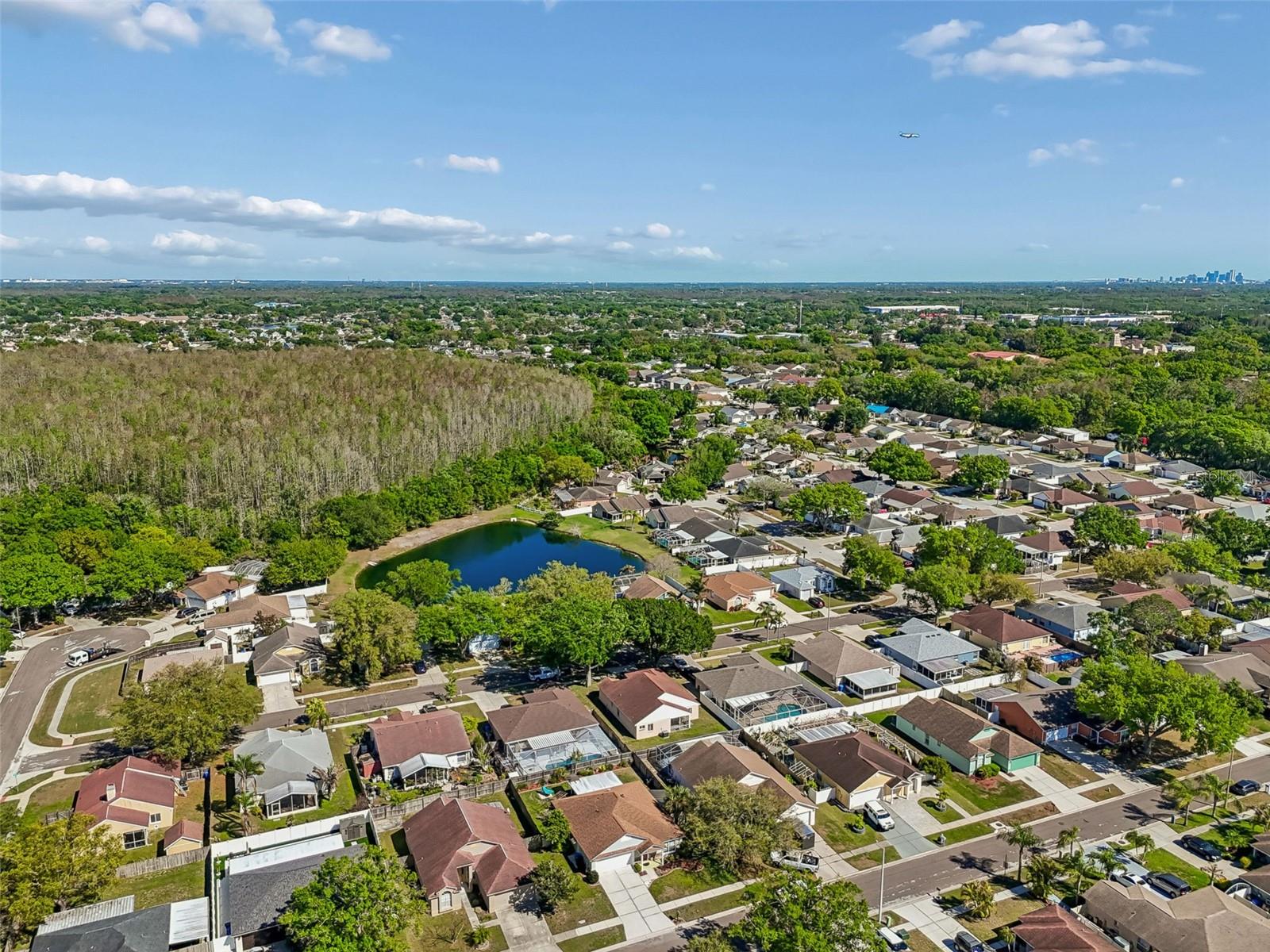 11029 STREAMSIDE DR, TAMPA, FL, 33624