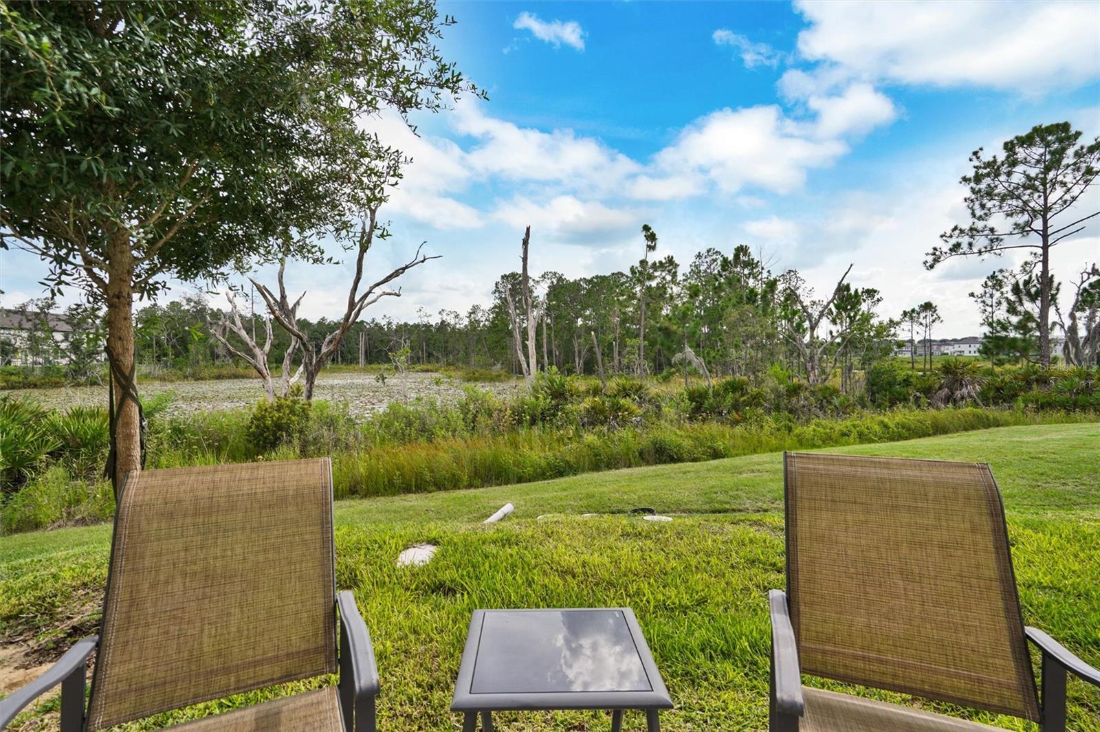 1056 PLANTATION LN, DAVENPORT, FL, 33896