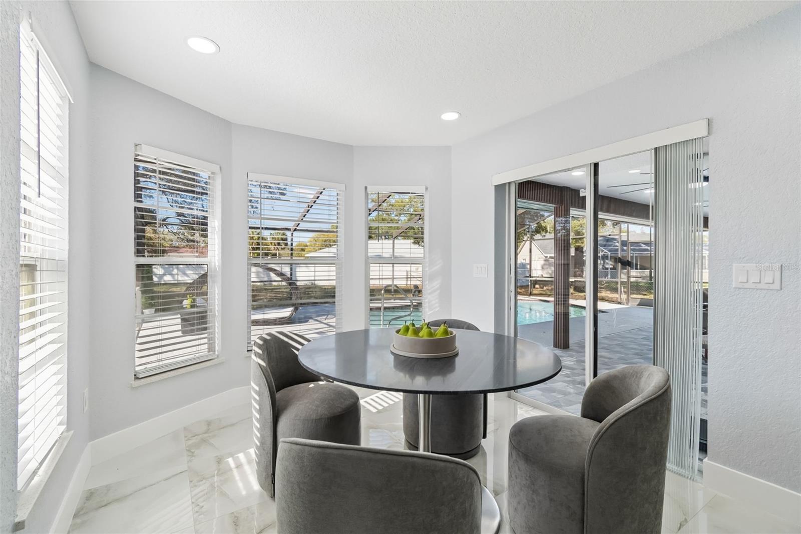 9203 LAVINA LN, SPRING HILL, FL, 34608