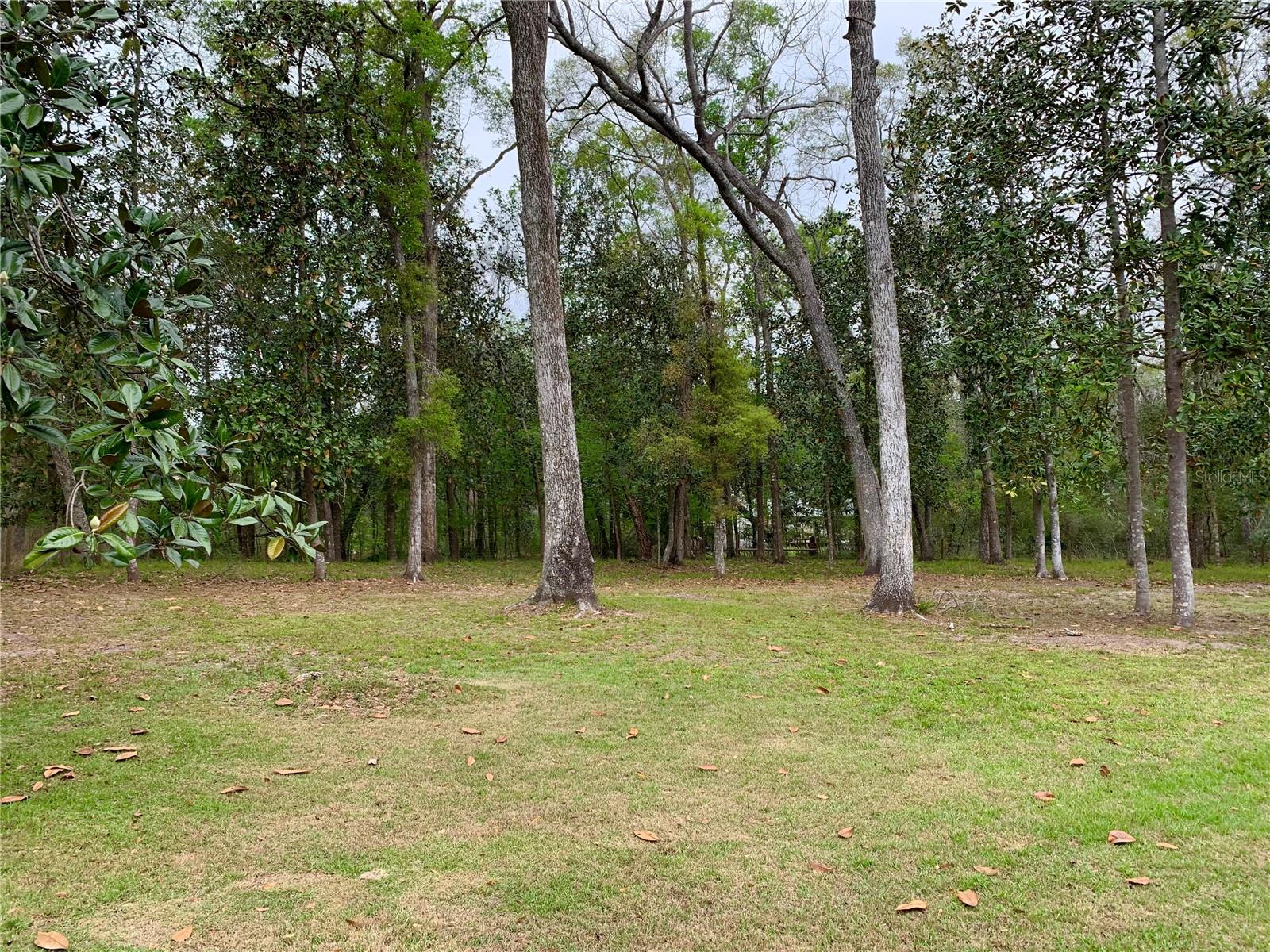 11651 NW 127 LN, CHIEFLAND, FL, 32626