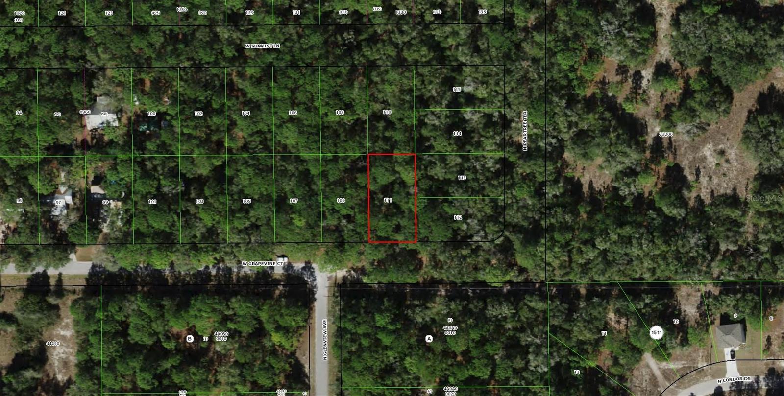 2797 W GRAPEVINE CT, DUNNELLON, FL, 34433