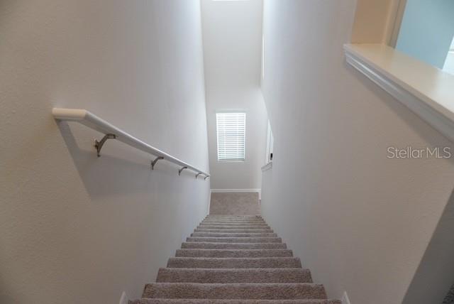 4666 STARGAZER CT, PALM HARBOR, FL, 34683