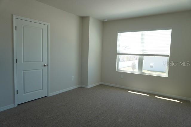 4666 STARGAZER CT, PALM HARBOR, FL, 34683