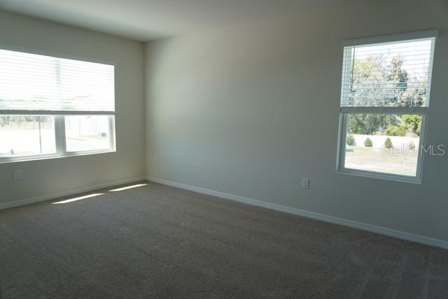 4666 STARGAZER CT, PALM HARBOR, FL, 34683