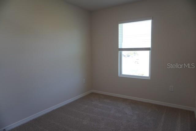 4666 STARGAZER CT, PALM HARBOR, FL, 34683