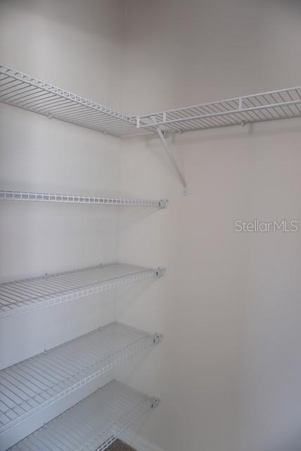 4666 STARGAZER CT, PALM HARBOR, FL, 34683