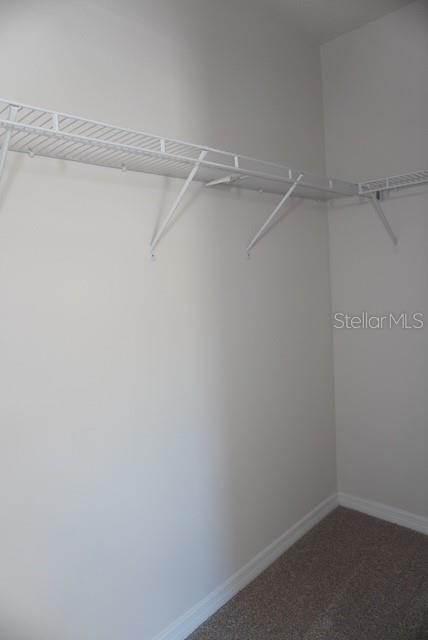 4666 STARGAZER CT, PALM HARBOR, FL, 34683