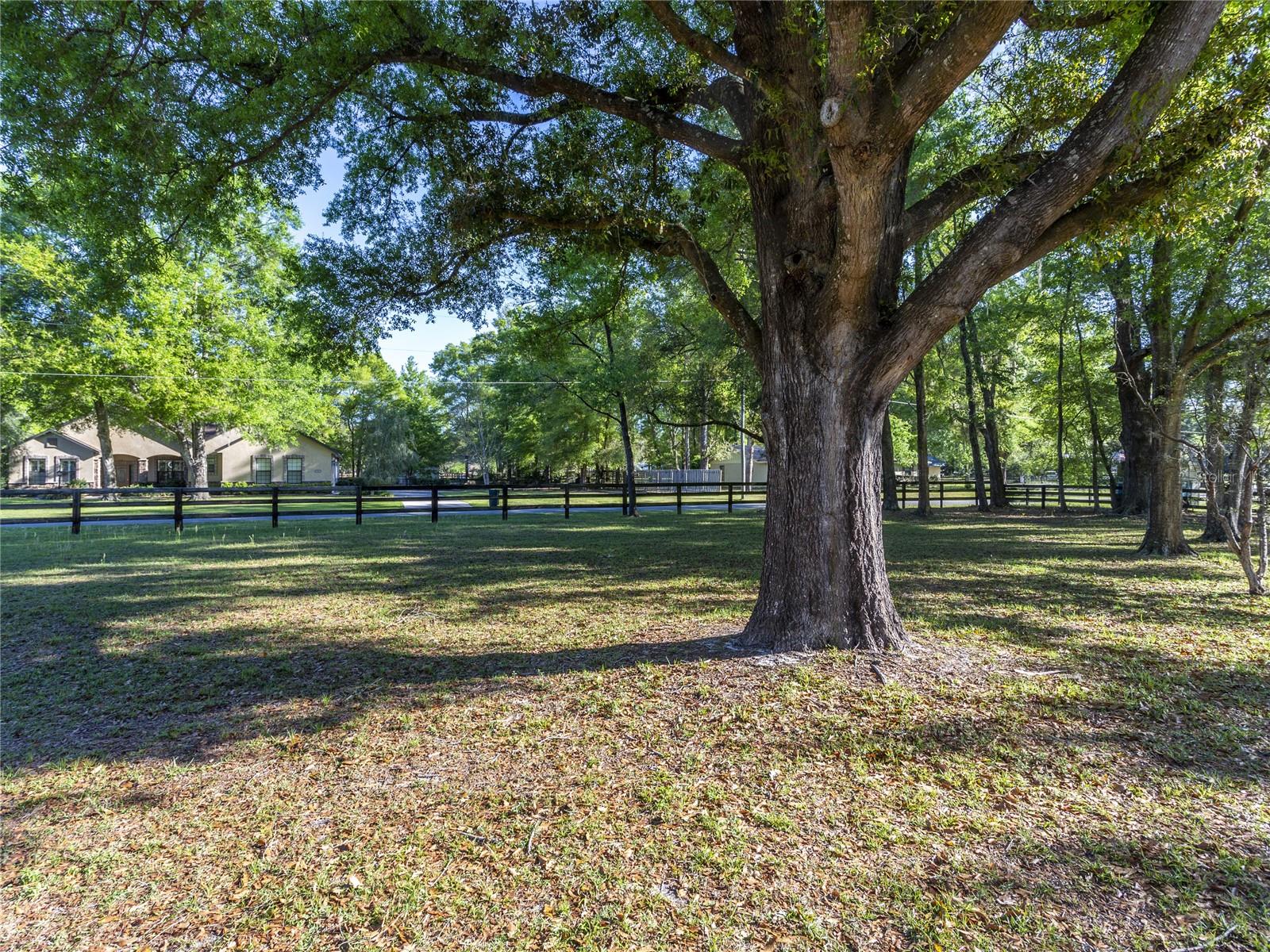 4 HIALEAH DR, OCALA, FL, 34482