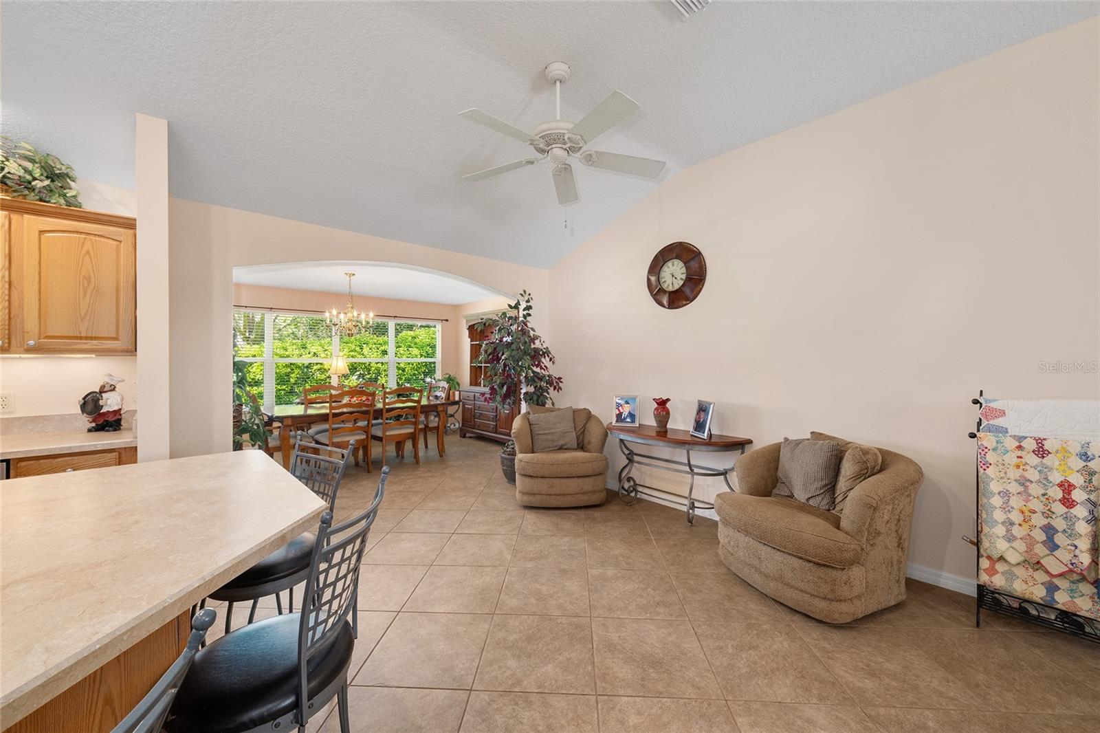 871 CASTLEBERRY CIR, THE VILLAGES, FL, 32162
