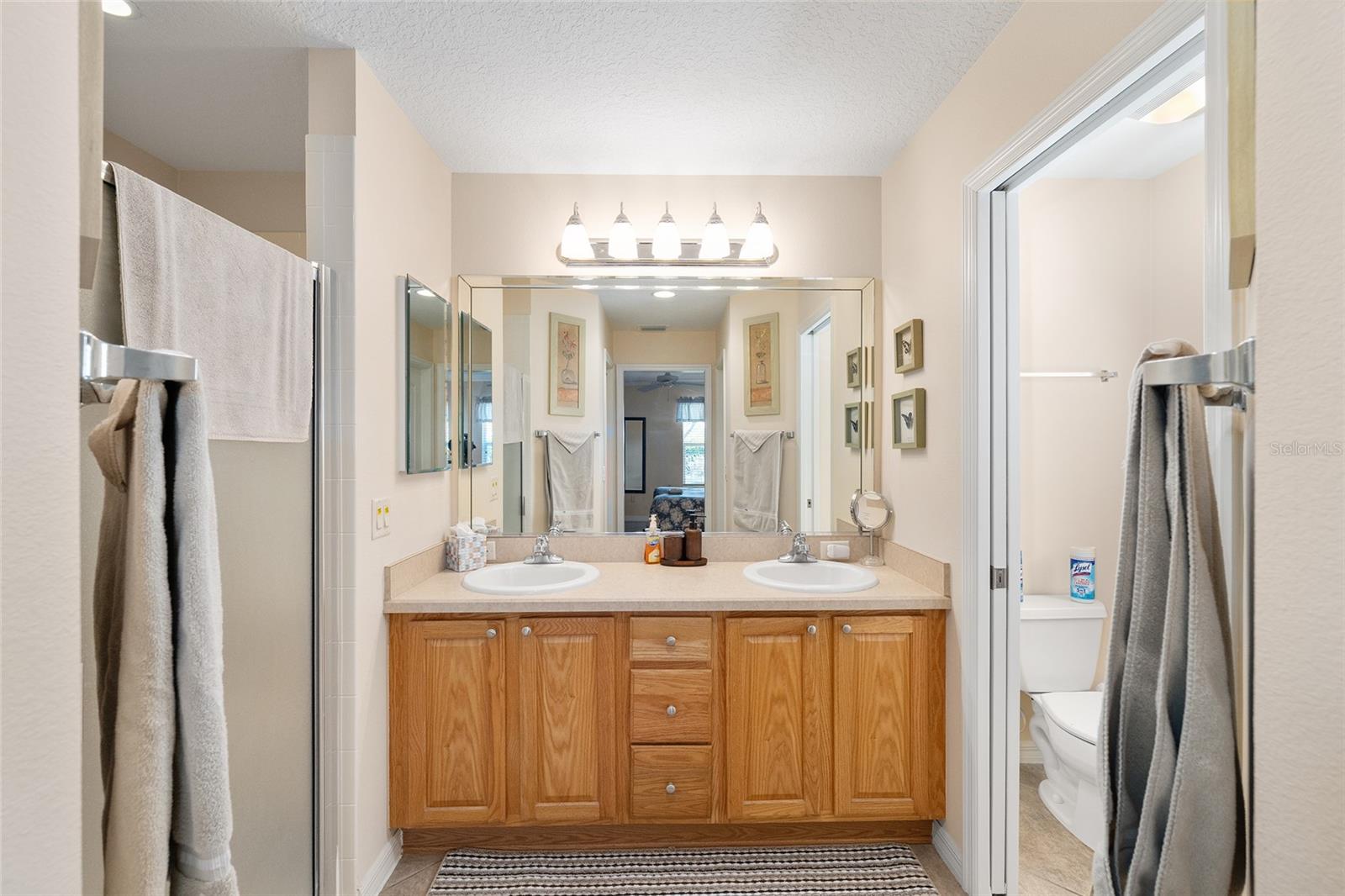 871 CASTLEBERRY CIR, THE VILLAGES, FL, 32162