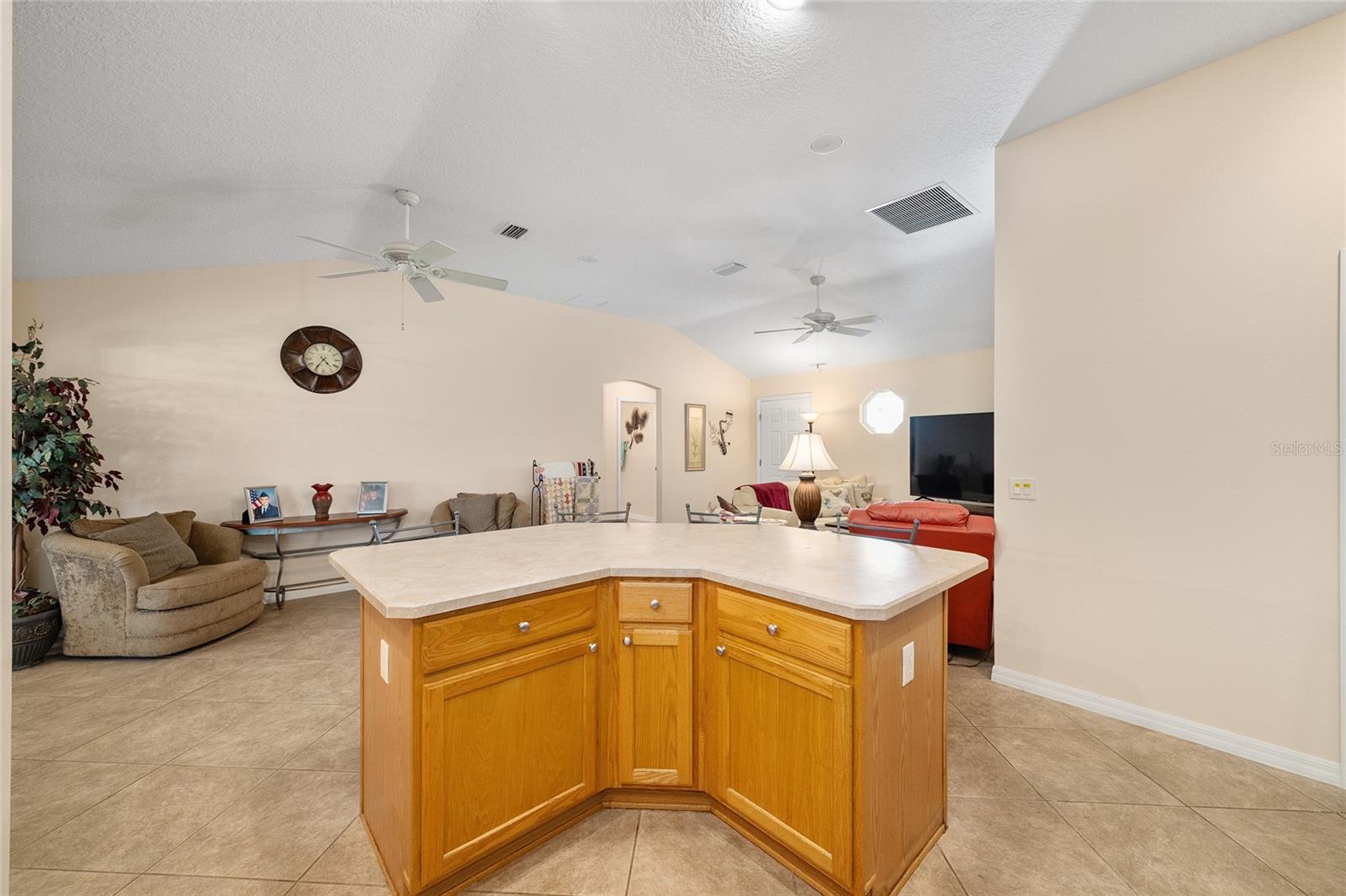 871 CASTLEBERRY CIR, THE VILLAGES, FL, 32162
