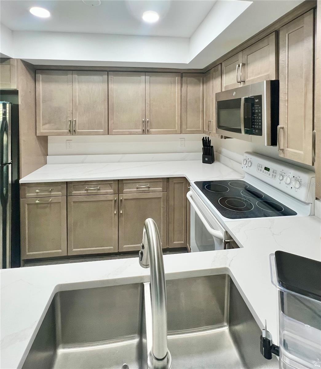 700 STARKEY RD #814, LARGO, FL, 33771