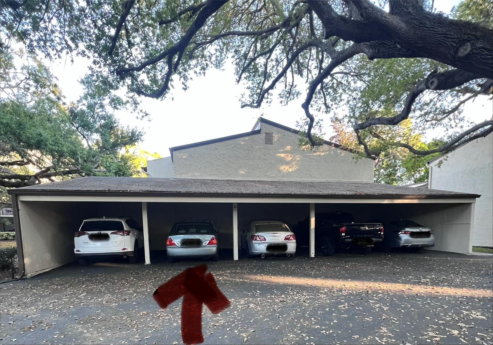 700 STARKEY RD #814, LARGO, FL, 33771