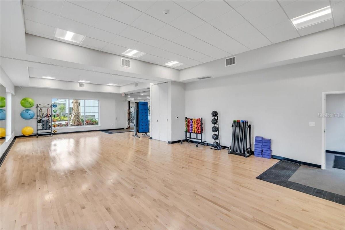 17456 CRESCENT MOON LOOP, BRADENTON, FL, 34211