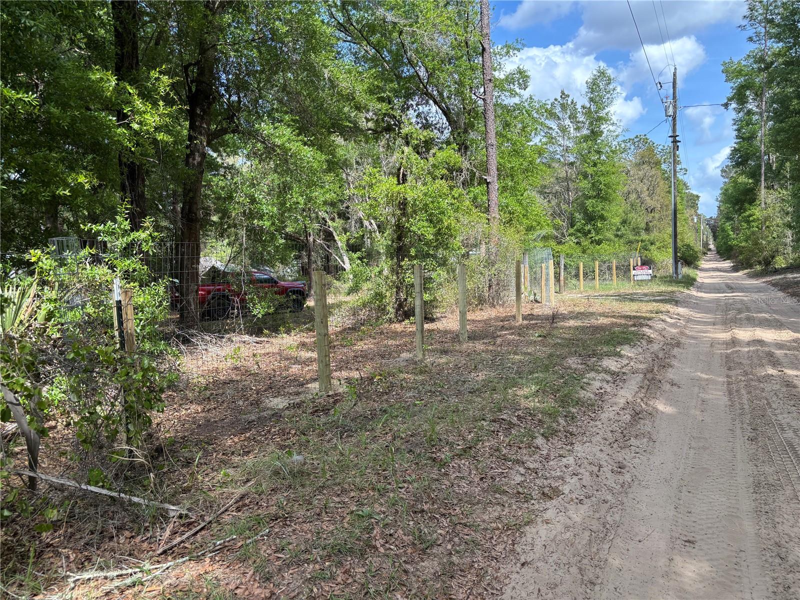 24533 PINK PANTHER RD, PAISLEY, FL, 32767