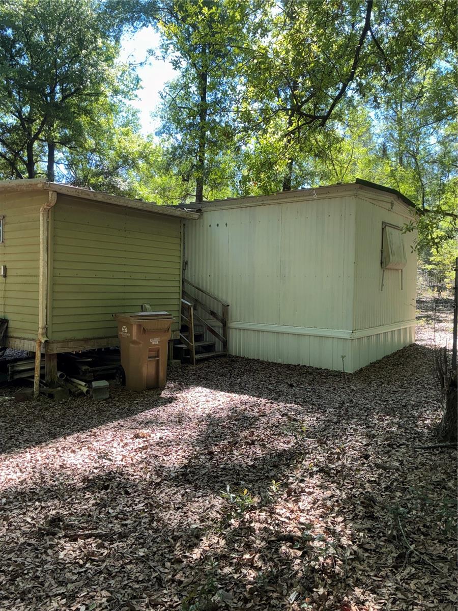 24533 PINK PANTHER RD, PAISLEY, FL, 32767