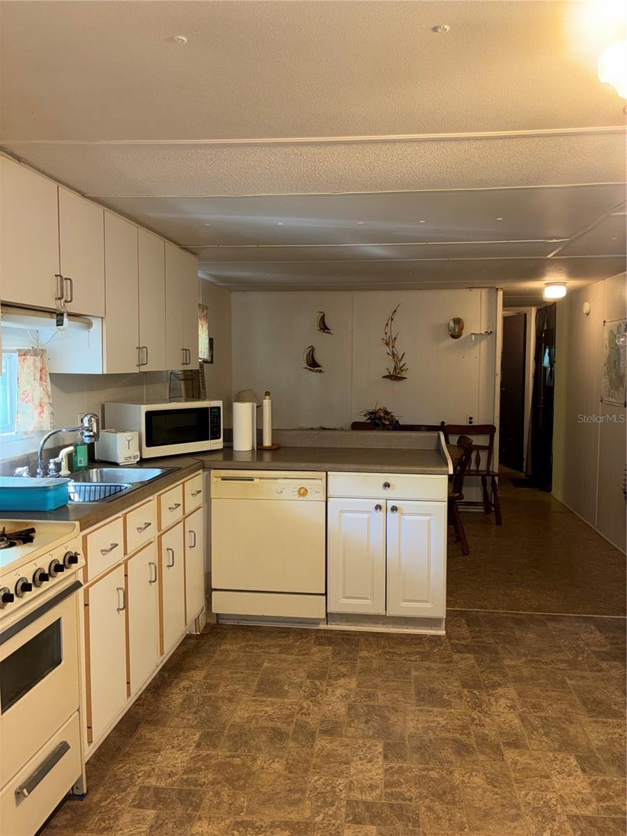 24533 PINK PANTHER RD, PAISLEY, FL, 32767