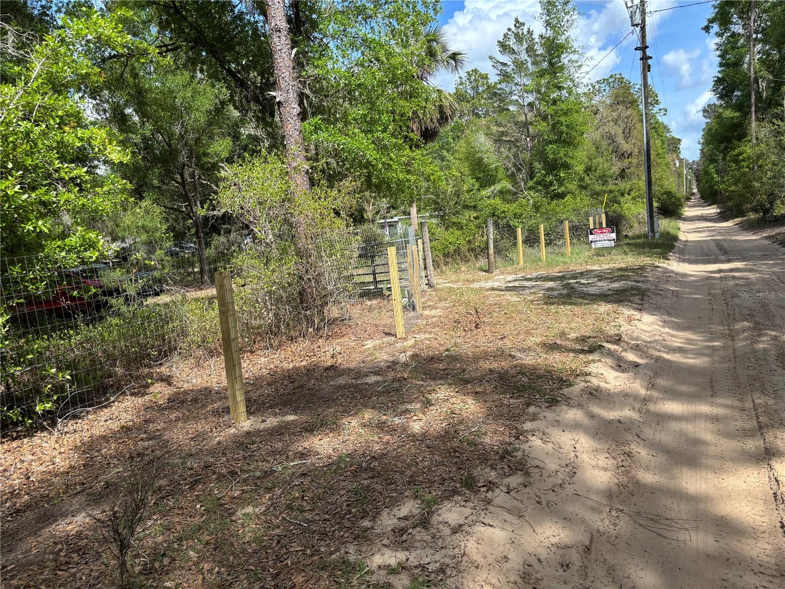 24533 PINK PANTHER RD, PAISLEY, FL, 32767