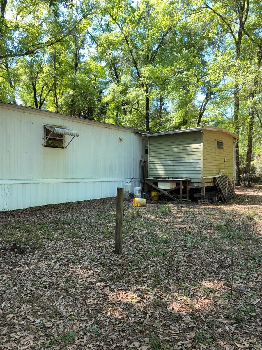 24533 PINK PANTHER RD, PAISLEY, FL, 32767