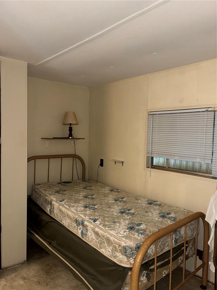 24533 PINK PANTHER RD, PAISLEY, FL, 32767
