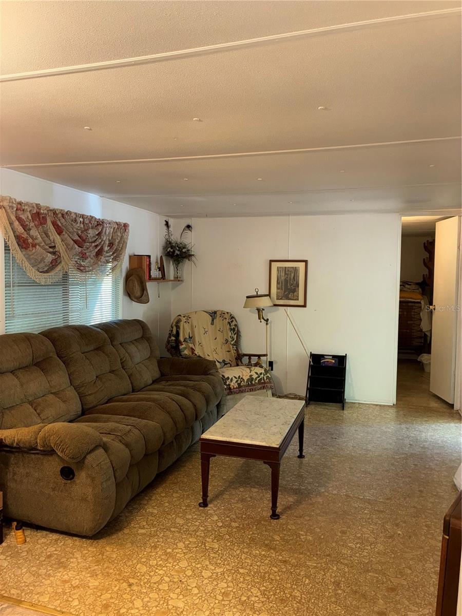 24533 PINK PANTHER RD, PAISLEY, FL, 32767