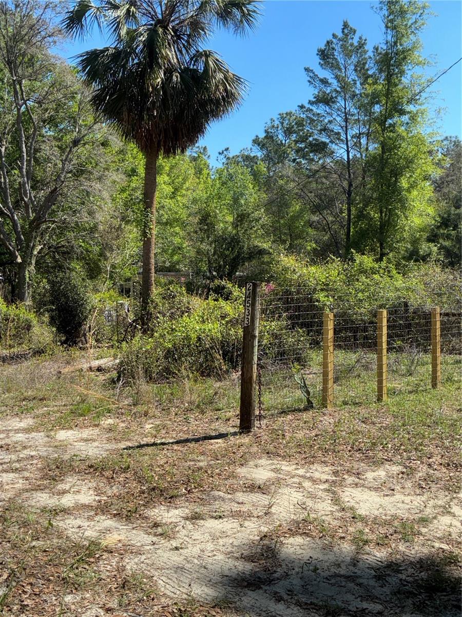 24533 PINK PANTHER RD, PAISLEY, FL, 32767