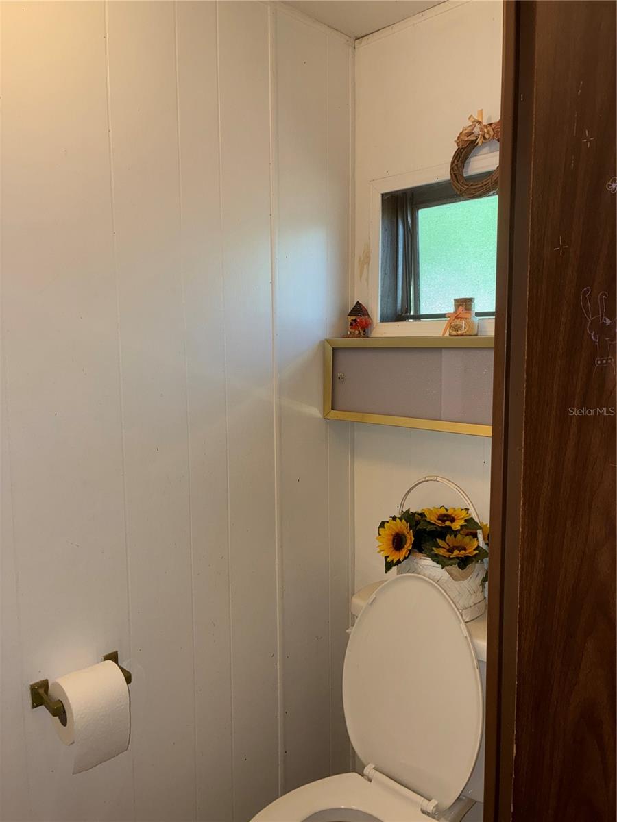 24533 PINK PANTHER RD, PAISLEY, FL, 32767