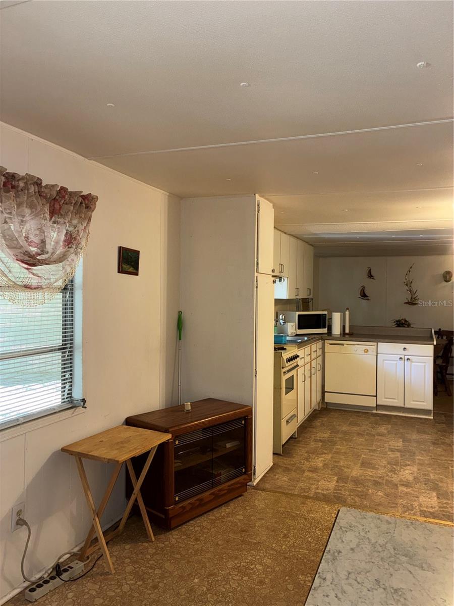 24533 PINK PANTHER RD, PAISLEY, FL, 32767