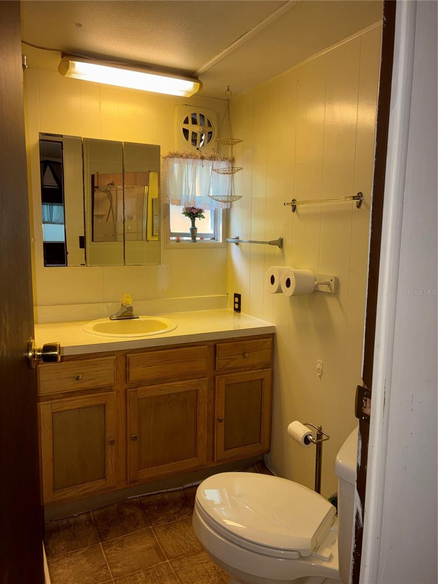 24533 PINK PANTHER RD, PAISLEY, FL, 32767