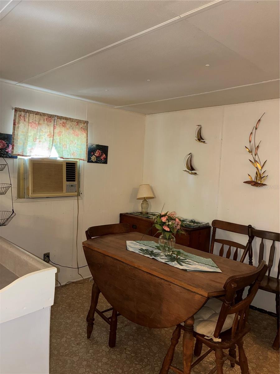 24533 PINK PANTHER RD, PAISLEY, FL, 32767