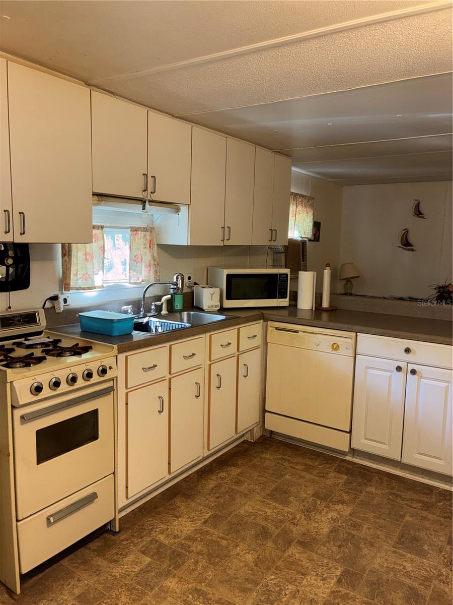 24533 PINK PANTHER RD, PAISLEY, FL, 32767