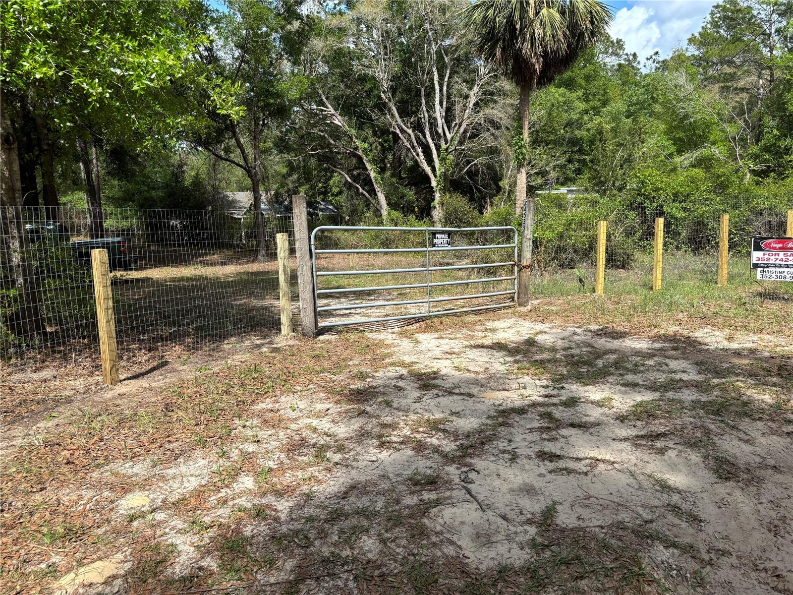24533 PINK PANTHER RD, PAISLEY, FL, 32767