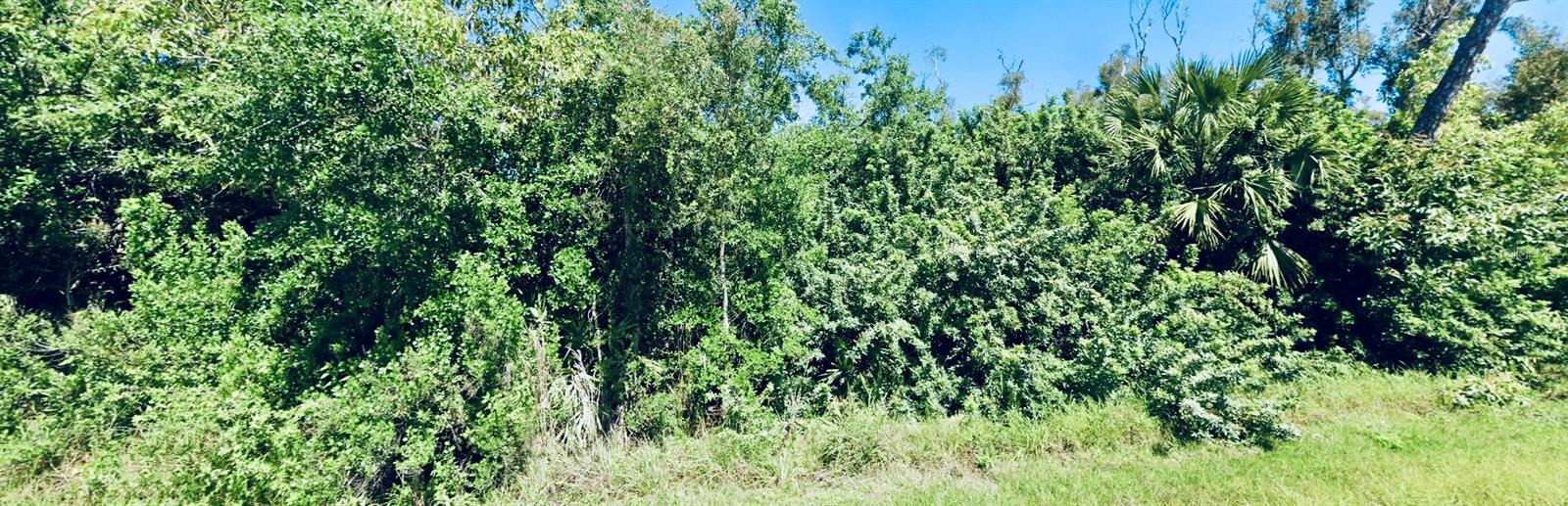 14276 MYAKKA AVE, PORT CHARLOTTE, FL, 33953