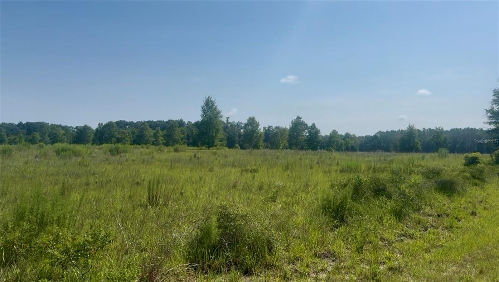 974 SW SHERLOCK TER, LAKE CITY, FL, 32024