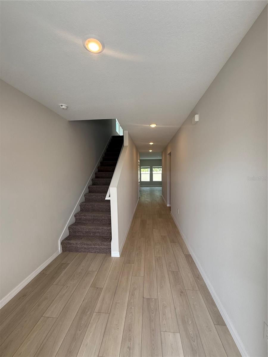 7623 PEACE LILY AVE, WESLEY CHAPEL, FL, 33545