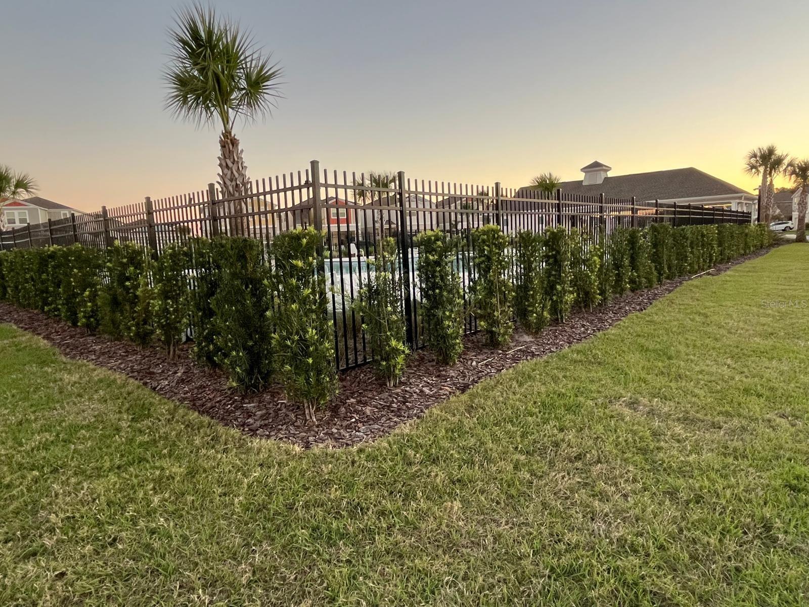 7623 PEACE LILY AVE, WESLEY CHAPEL, FL, 33545