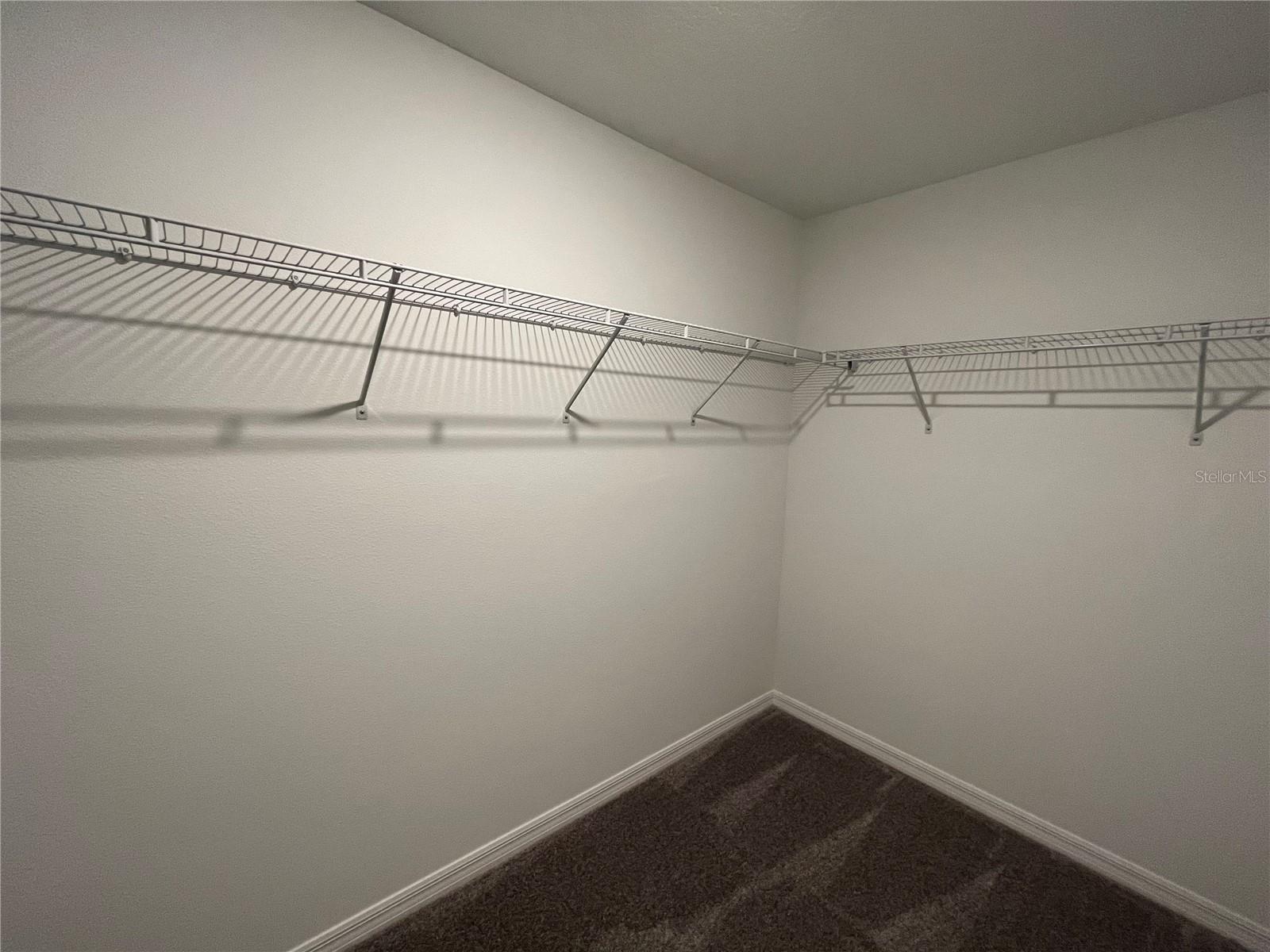 10337 TRUMPET HONEYSUCKLE WAY, SAN ANTONIO, FL, 33576