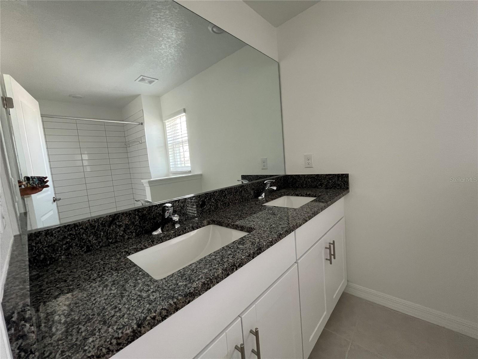 10337 TRUMPET HONEYSUCKLE WAY, SAN ANTONIO, FL, 33576