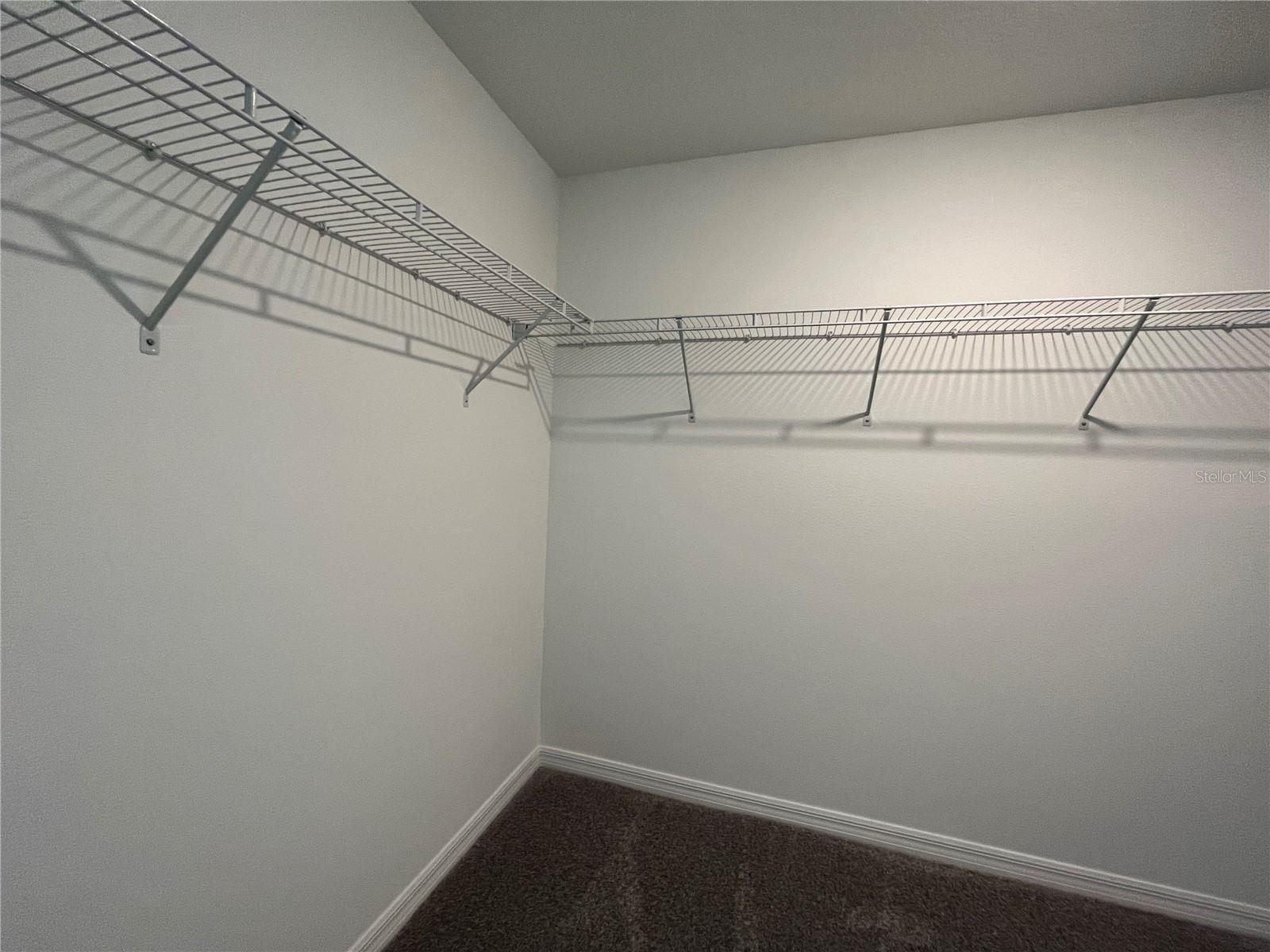 10337 TRUMPET HONEYSUCKLE WAY, SAN ANTONIO, FL, 33576