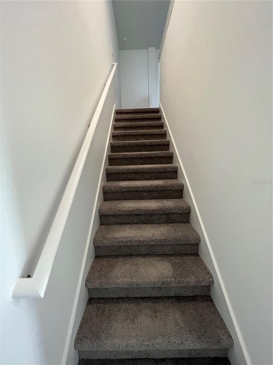 10337 TRUMPET HONEYSUCKLE WAY, SAN ANTONIO, FL, 33576