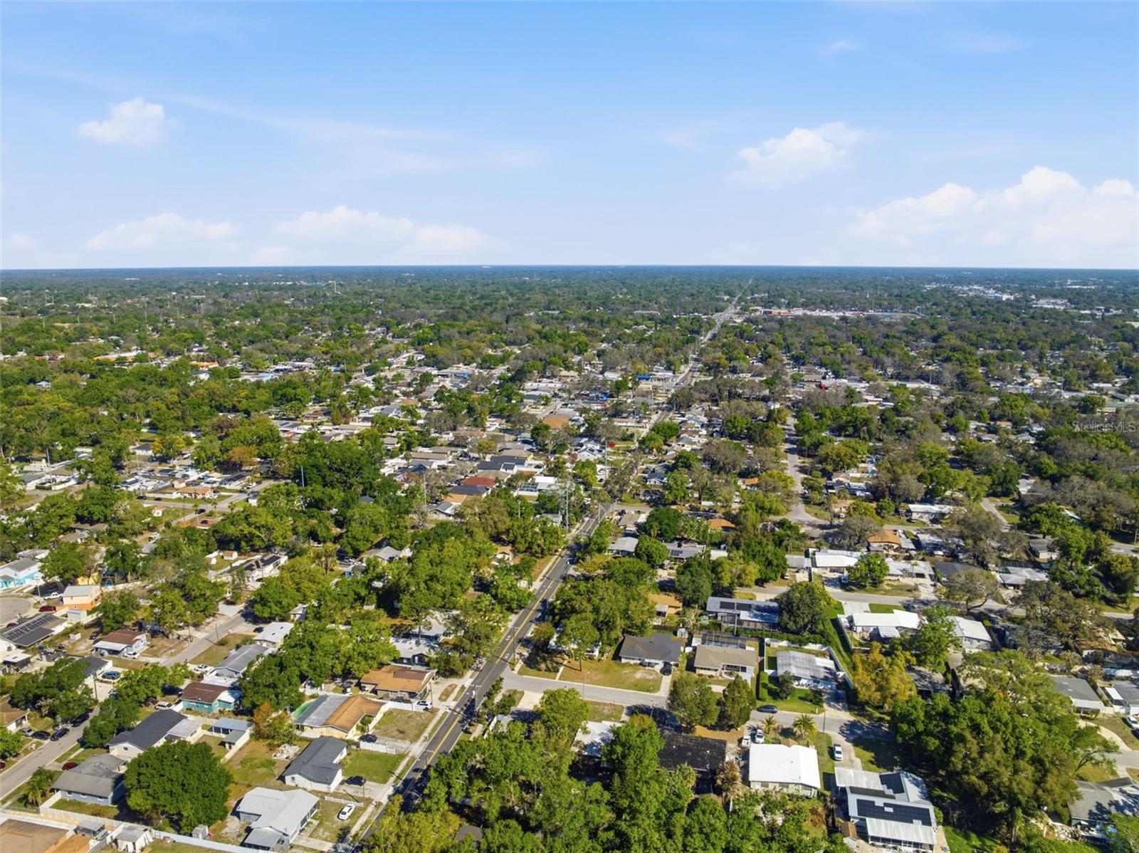 8001 N OLA AVE, TAMPA, FL, 33604