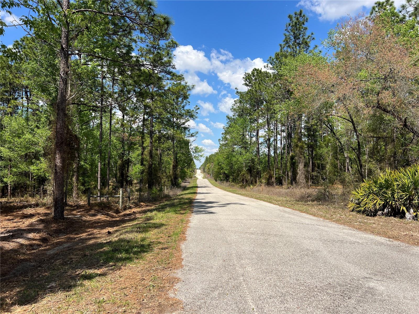 24 SE 130 CT, DUNNELLON, FL, 34431