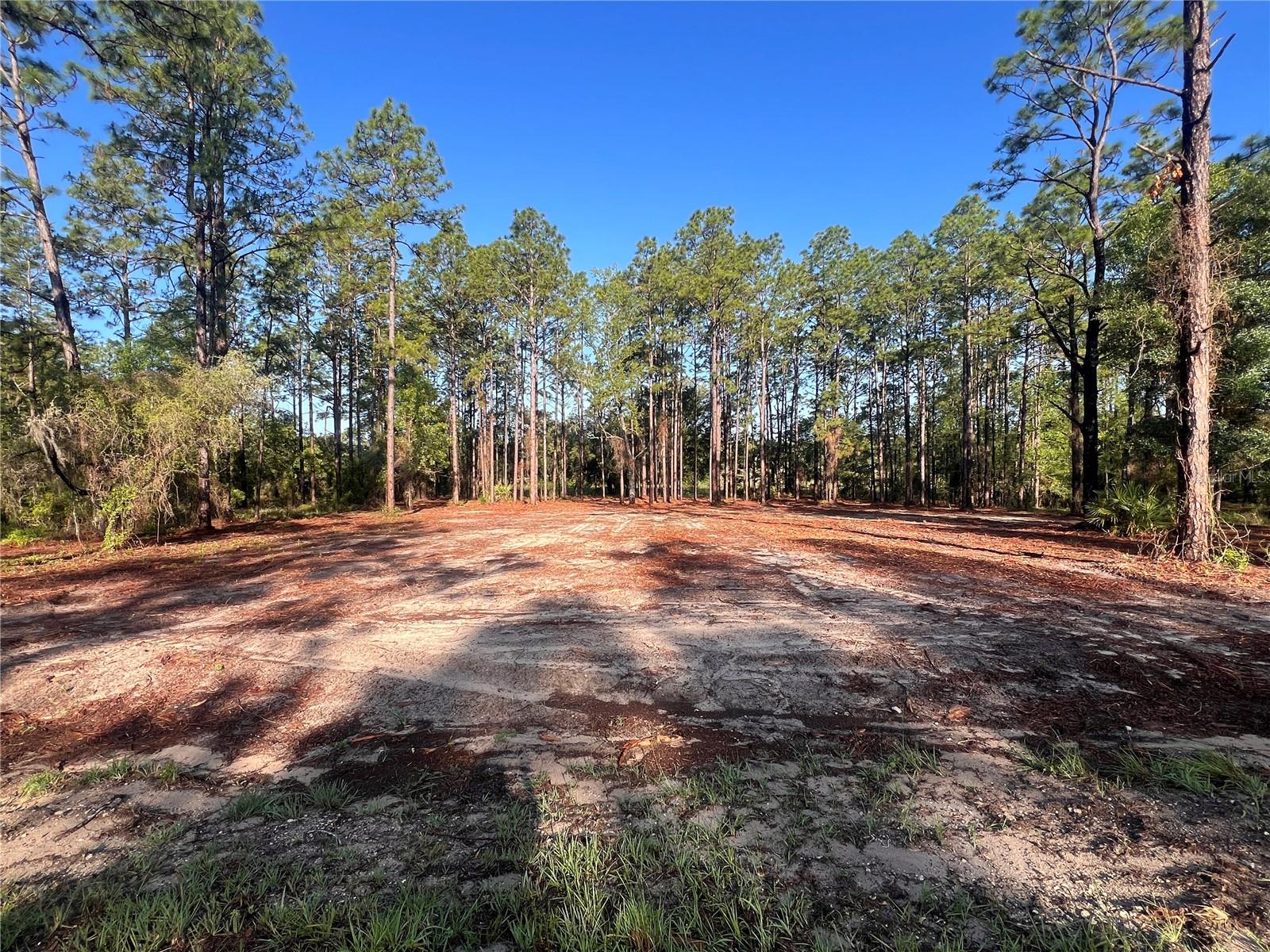 24 SE 130 CT, DUNNELLON, FL, 34431